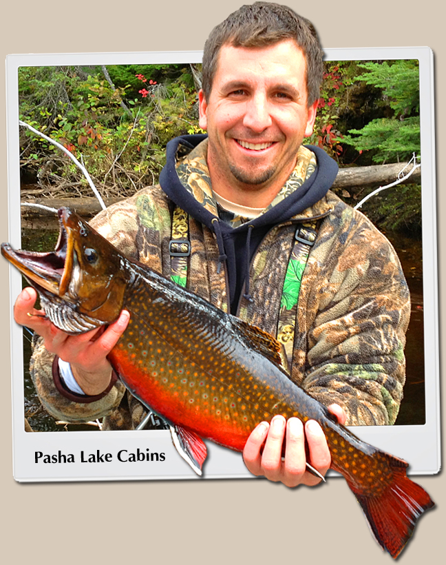 Brook Trout Fishing in Ontario, Canada